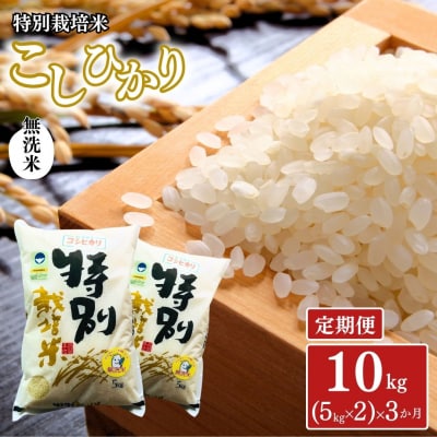 [定期便 10kg(5kg×2)×3ヶ月 特別栽培米コシヒカリ 令和8年産 無洗米【061S009】