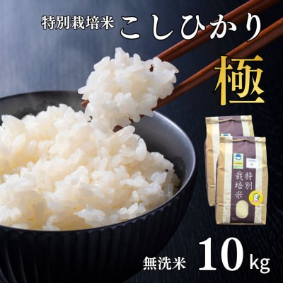 県認証 特別栽培米 コシヒカリ 「極」 10kg 無洗米 令和7年産米 こしひかり【024S041】