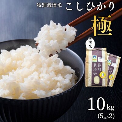 県認証 特別栽培米 コシヒカリ 「極」10kg(5kg×2) 無洗米 令和8年産米【024S041】