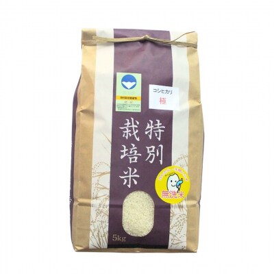 県認証 特別栽培米 コシヒカリ 「極」10kg(5kg×2) 無洗米 令和8年産米【024S041】