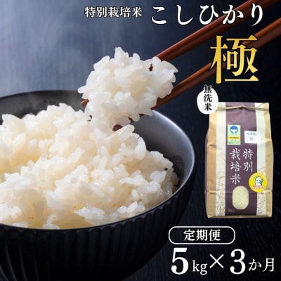 [定期便 5kg×3ヶ月] 県認証 特別栽培米 コシヒカリ「極」無洗米 令和8年産【036S012】