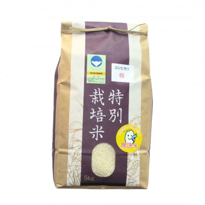 [定期便 5kg×3ヶ月] 県認証 特別栽培米 コシヒカリ「極」無洗米 令和8年産【036S012】