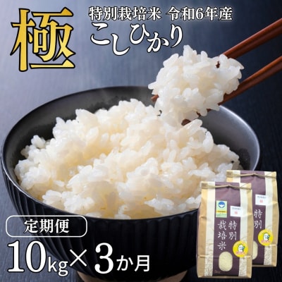 [定期便 10kg×3ヶ月]県認証 特別栽培米 コシヒカリ「極」無洗米 令和6年産【071S004】