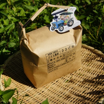 先行受付 [定期便5kg×3か月]減農薬有機肥料栽培 新潟県産 従来コシヒカリ 玄米 035S028