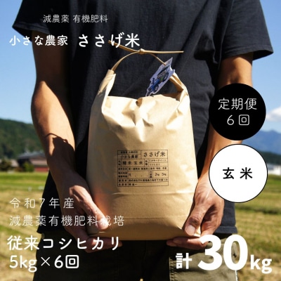 [定期便5kg×6か月]減農薬有機肥料栽培 新潟県産 従来コシヒカリ 玄米 【070S016】