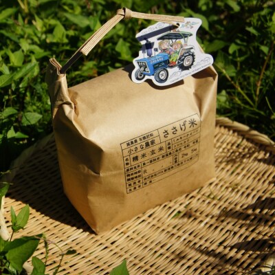 減農薬有機肥料栽培 新潟県産 ミルキークイーン 7分づき 5kg 【015S140】