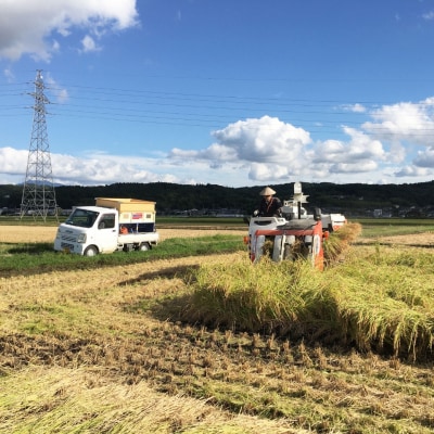 先行受付 減農薬有機肥料栽培 新潟県産 ミルキークイーン 7分づき 5kg 【015S140】