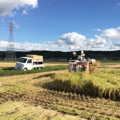 [定期便5kg×3か月]減農薬有機肥料栽培 新潟県産ミルキークイーン 玄米 【035S030】
