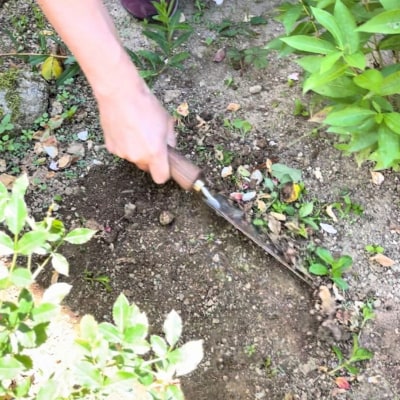 ガーデニング用スコップ ハンドトロウェル  燕三条製 [浅野木工所] 【011S237】