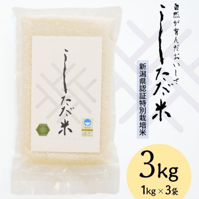 新潟県認証特別栽培米 コシヒカリ 3kg(1×3袋)[しただ米] 令和7年産 【010S658】