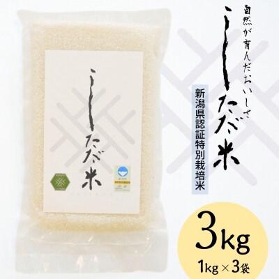 新米 新潟県認証特別栽培米 コシヒカリ 3kg(1×3袋)[しただ米] 令和7年産【010S658】