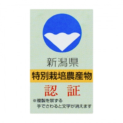 新潟県認証特別栽培米 コシヒカリ 3kg(1×3袋)[しただ米] 令和7年産 【010S658】