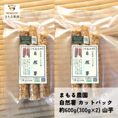 自然薯 カットパック 約600g(300g×2パック) 山芋 とろろご飯に 【010S660】
