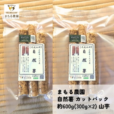 先行受付 自然薯 カットパック 約600g(300g×2) 山芋 とろろご飯に 【010S660】
