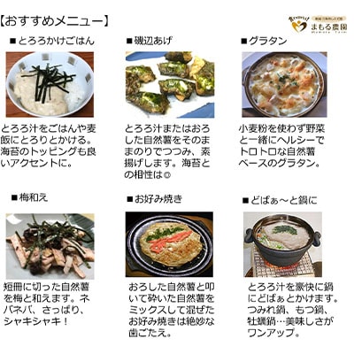 自然薯 カットパック 約600g(300g×2パック) 山芋 とろろご飯に 【010S660】