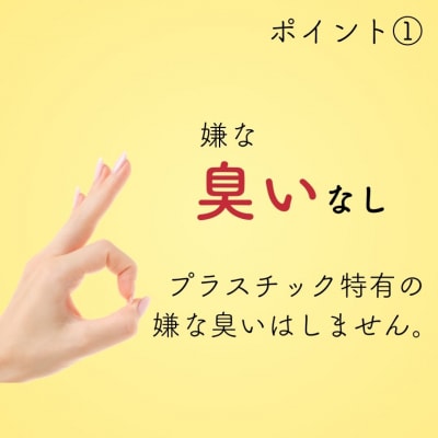 プラすのこベッドセット レギュラーサイズ 嫌なニオイがない すのこベッド 【030S086】