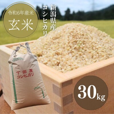 新潟県産コシヒカリ 玄米 30kg 令和6年産米 新潟県三条市下田産  