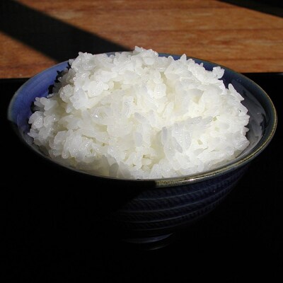 新米 お米食べ比べセット 計4kg (2kg×2) コシヒカリ 新之助 新潟県認証【013S125】