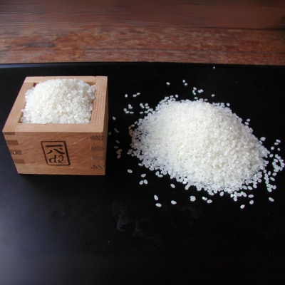 新米 お米食べ比べセット 計10kg (5kg×2) コシヒカリ 新之助 新潟県 【029S032】