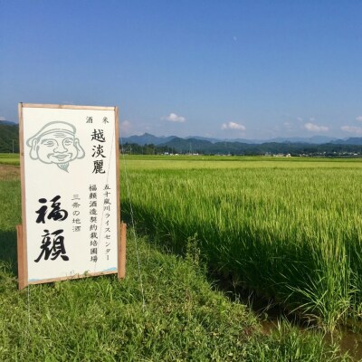 大辛口・甘口 日本酒飲み比べセット 720ml×2本 [福顔酒造]【010S671】