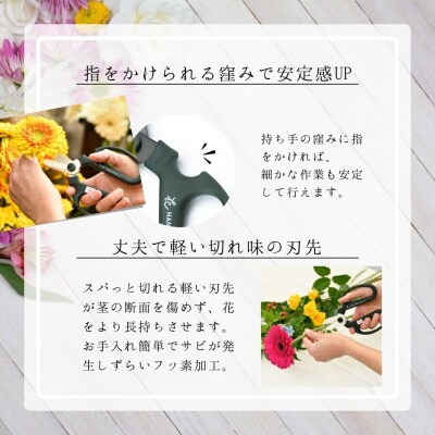 期間限定 生花はさみ ハンドクリエーションF170 ポーラナイト 園芸鋏 【010S675】