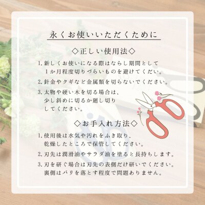 期間限定 生花はさみ ハンドクリエーションF170 ポーラナイト 園芸鋏 【010S675】