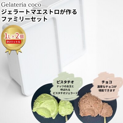 ジェラートマエストロが作るファミリーセット 1L×2 [ピスタチオ・チョコ] 【017S091】