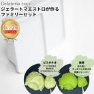 ジェラートマエストロが作るファミリーセット 1L×2 [ピスタチオ・抹茶] 【017S093】