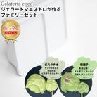 ジェラートマエストロが作るファミリーセット 1L×2 [ピスタチオ・笹団子] 【017S094】