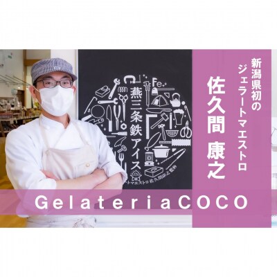 ジェラートマエストロが作るファミリーセット  [ピスタチオ・アルフォンソマンゴー]【017S096】