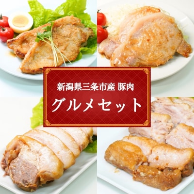 三条市産豚肉グルメセット1.4㎏ 【013S126】