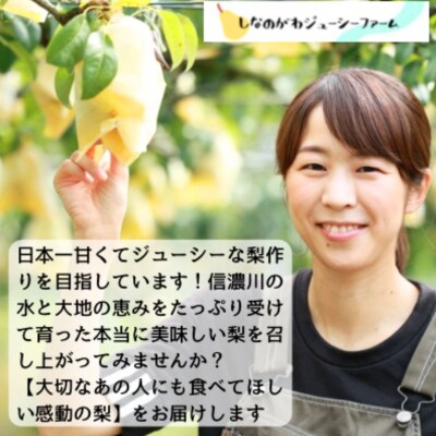 2026年産先行受付 ル・レクチェ2kg 自家用【010S687】