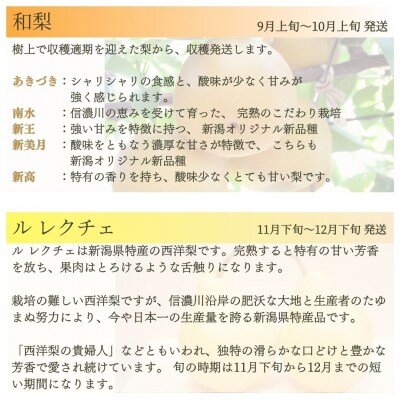 旬の果物定期便 4回 Aコース 桃 シャインマスカット 和梨 ル レクチェ【051S005】