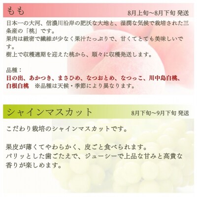 先行受付 旬の果物定期便 4回 Bコース 桃 シャインマスカット 和梨 ルレクチェ【083S009】