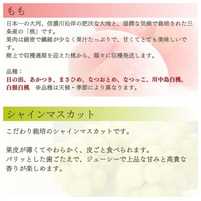 先行受付 旬の果物定期便 4回 Bコース 桃 シャインマスカット 和梨 ルレクチェ【083S009】
