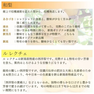 先行受付 旬の果物定期便 4回 Bコース 桃 シャインマスカット 和梨 ルレクチェ【083S009】