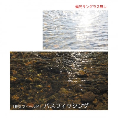 偏光グラス Soleil(ソレーユ)ブラックカモ(ツヤ)エクスプローラー 【088S016】