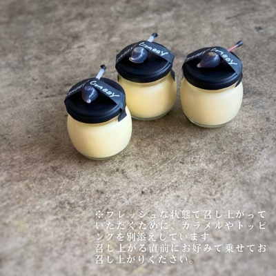 プリン専門店GABBYGABBYの6種食べ比べセット プリン スイーツ 【014S123】 