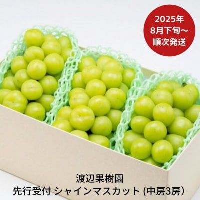 先行受付 シャインマスカット3房(約1.6kg)[8月下旬から発送予定]渡辺果樹園【026S044】
