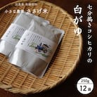 七分搗きコシヒカリの白がゆ 250g 12袋 お粥 レトルト[小さな農家ささげ米]【012S138】