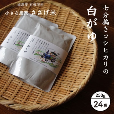 七分搗きコシヒカリの白がゆ 250g 24袋 お粥 レトルト[小さな農家ささげ米]【024S054】