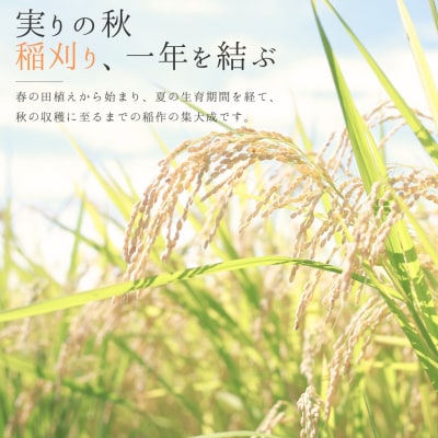 新潟県三条市保内産コシヒカリ 1等米 3kg 2025年産コシヒカリ 【010S706】