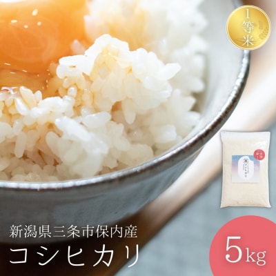 新潟県三条市保内産コシヒカリ 1等米 5kg 2025年産コシヒカリ 【013S132】