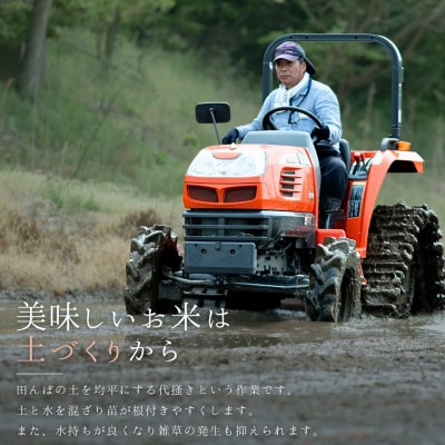 新潟県三条市保内産コシヒカリ 1等米 5kg 2025年産コシヒカリ 【013S132】