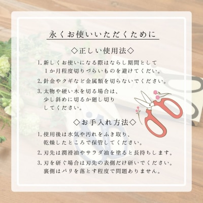 生花はさみ ハンドクリエーションF170黒刃 アトモスグリーン 花鋏 [坂源] 【011S297】
