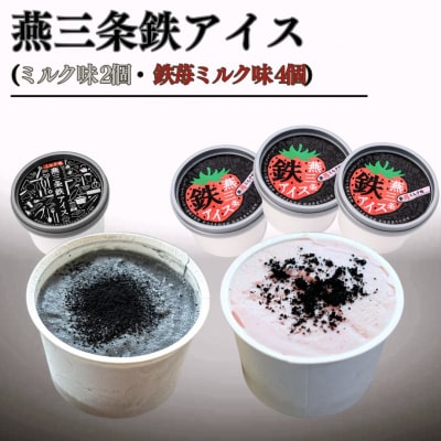 燕三条鉄アイス (ミルク味2個 鉄苺ミルク味 4個) アイス 鉄粉 越後姫 【012S140】
