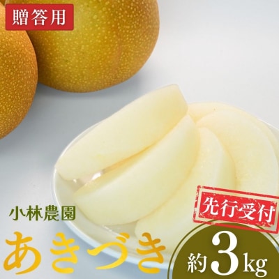 先行受付 和梨 あきづき 約3kg 令和8年度 新潟県三条市産 梨 [小林農園]【010S748】