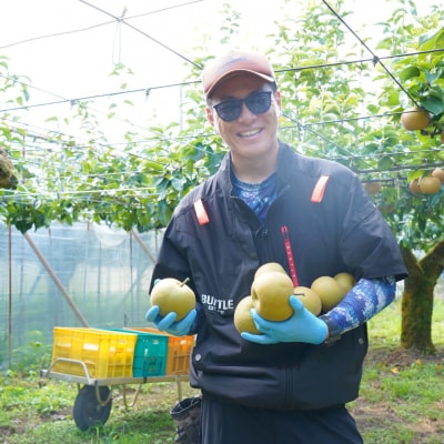 先行受付 和梨 あきづき 約3kg 令和8年度 新潟県三条市産 梨 [小林農園]【010S748】