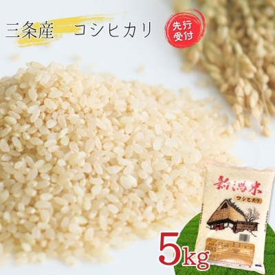 先行受付 新潟県三条産コシヒカリBL 5kg×1袋 令和7年産コシヒカリ 精米 【016S082】