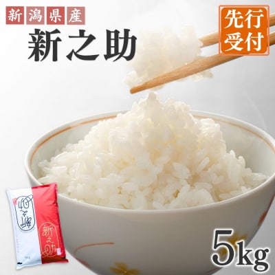 先行受付 新潟県三条産新之助 5kg×1袋 令和8年産新之助 精米 新潟県産新之助【017S140】